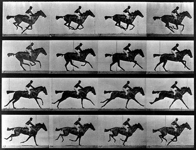 A sequence photograph by Eadweard Muybridge